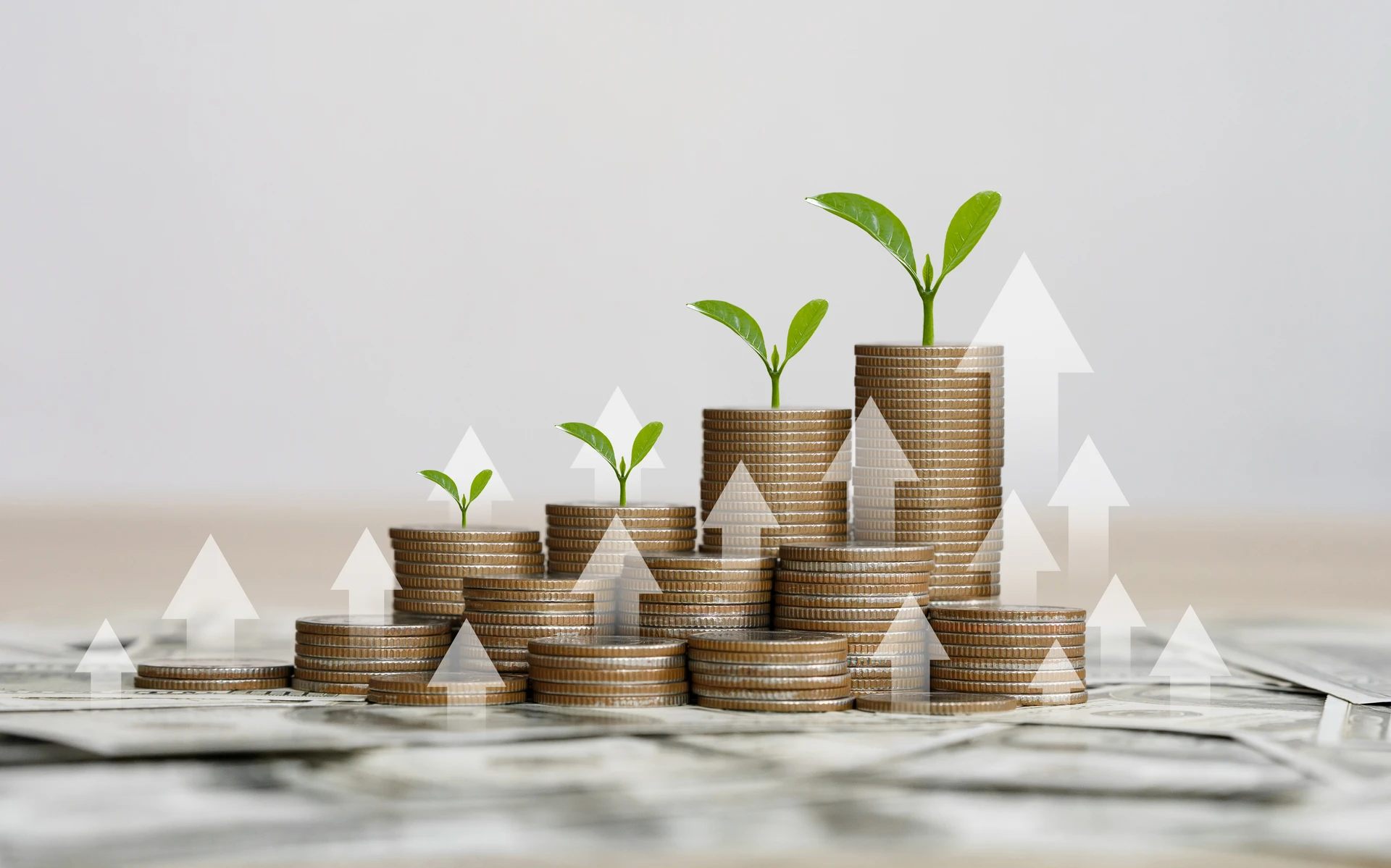 Why Diversification Matters in Asset Management Strategies