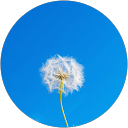 Shoaib profile picture